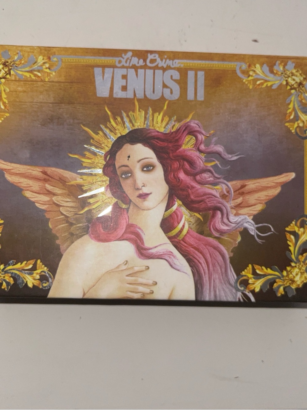 Lime Crime VENUS II Palette Artwork - Pink Hair with Gold Halo